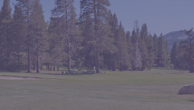 Search All Houses in the Tahoe Paradise Area